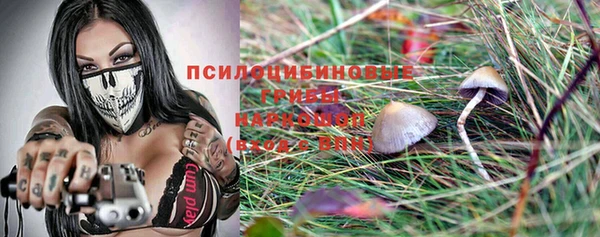 меф Белокуриха
